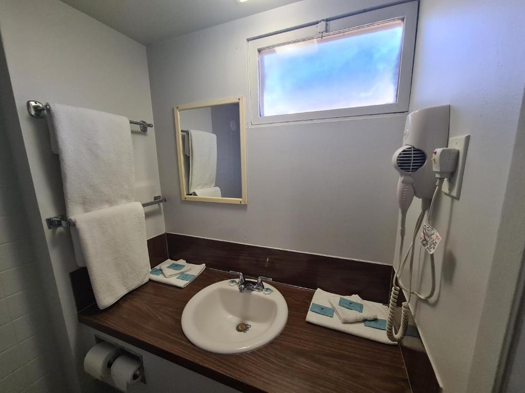 Pet-friendly room